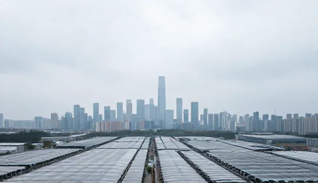 技术实施中人员流动的五大检查要点